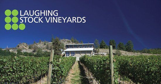 laughing-stock-vineyards